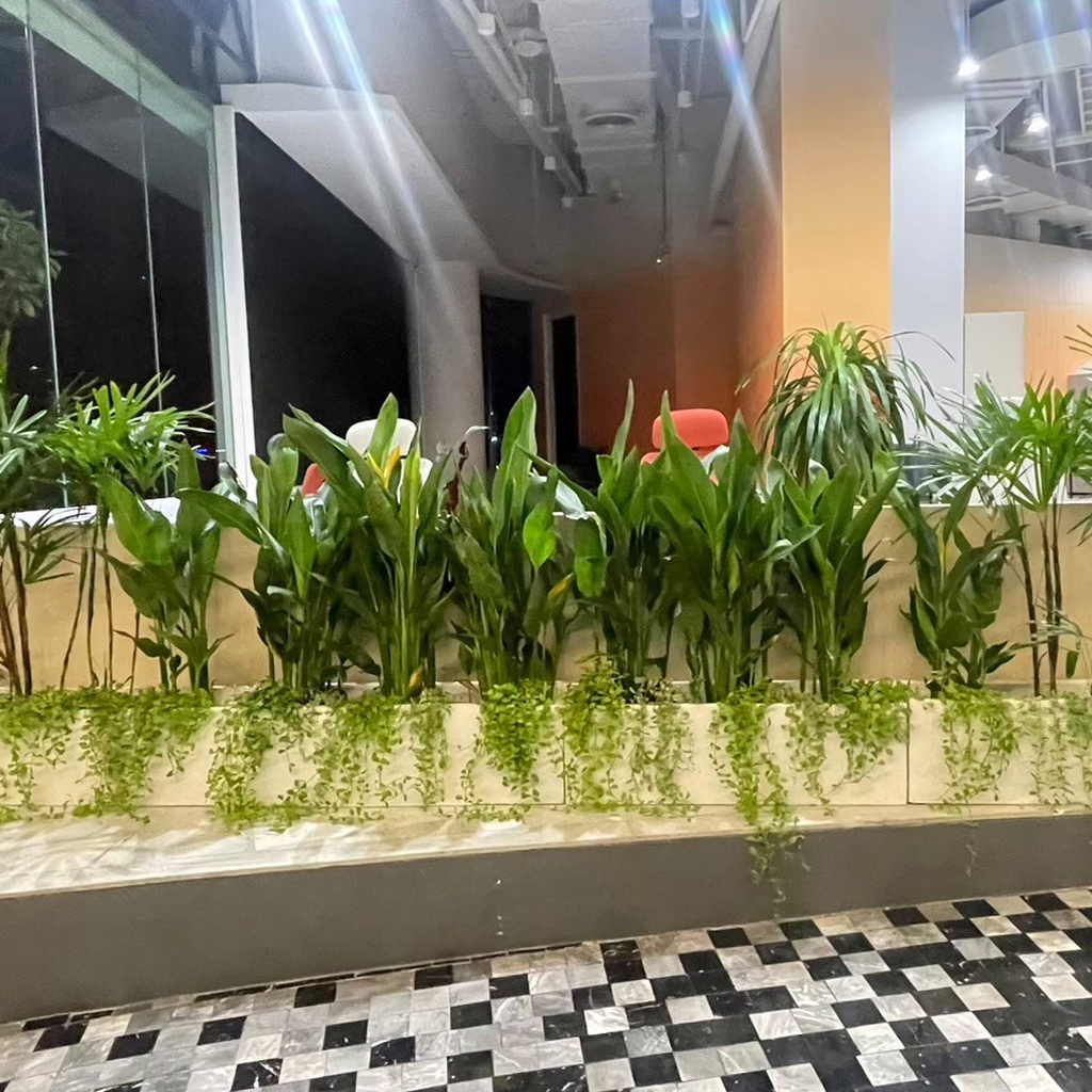 
Monthly Plant Rental Service - Package E: MODERN OFFICE THEME