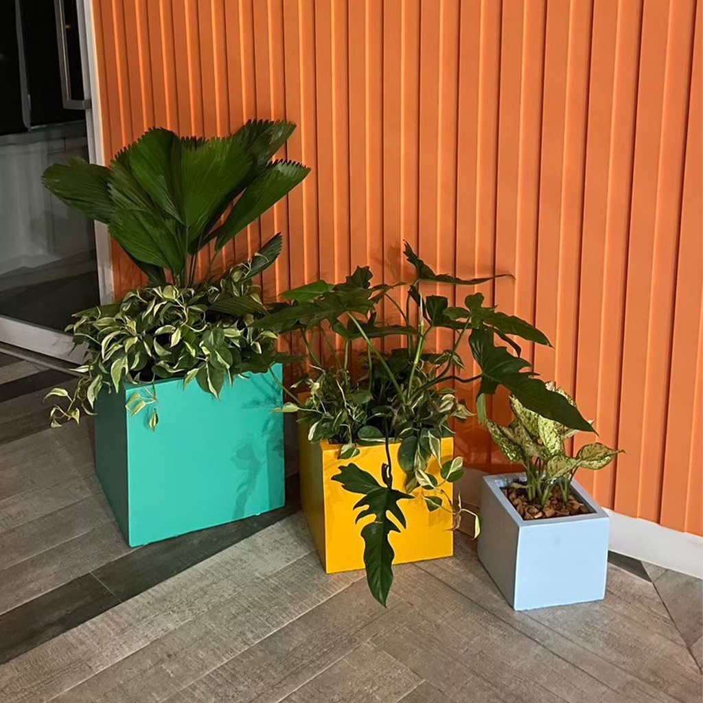 Monthly Plant Rental Service - Package K: COLOUR BLOCKING THEME