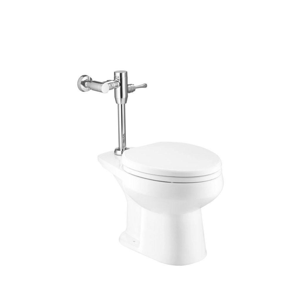 Replacement Service : Toilet C1441 with flush valve (floor-mounted), model SHARON