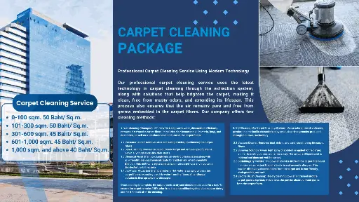 [9CLS200384] Carpet Cleaning Service for an area of 1-100 sq.m.