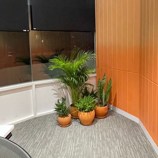 [9CLS200437] 
Monthly Plant Rental Service - Package B: COZY OFFICE THEME