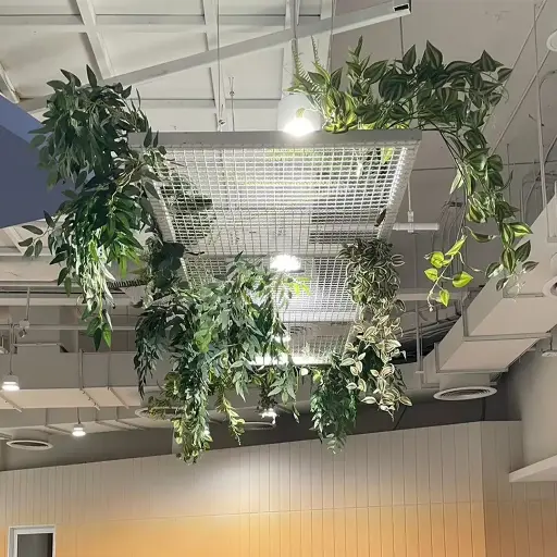 [9CLS200447] Green Space Design and Decoration Service