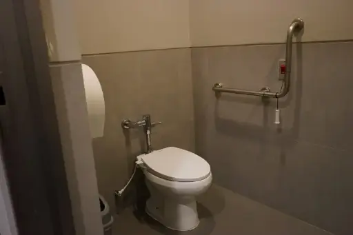 [CASE000109] Non-functioning toilet in the disability restroom